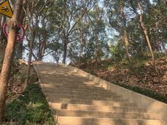 -上海佘山国家森林公园天马山园