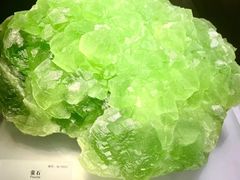 -湖南省地质博物馆