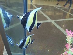 -保利MALL(天鹅湖店)