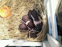 android_upload_pic-万达广场(南京江宁店)