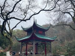 -岳麓山风景名胜区