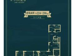 -中粮天悦壹号
