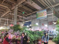 -大自然花鸟鱼虫市场