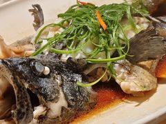 -富黎华海鲜大酒楼(正大广场店)