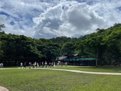 -野象谷景区
