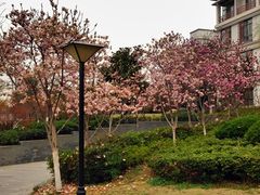 -太湖湾开元名庭大酒店