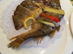 -骏莱海鲜鱼港(五角场店)