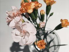 -Manner Coffee(深圳福田大中华店)