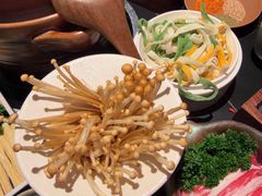 -季季山·云南野生菌火锅(上海首店)