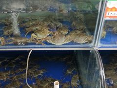 -阳澄湖大闸蟹·琼灵阁牌品牌连锁(吴中总店)