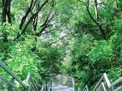 -佛山华盖山公园