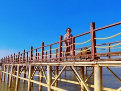 -瑶湖郊野森林公园