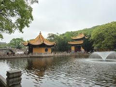-普陀山风景名胜区-法雨禅寺
