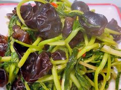 -额吉饺子馆(新石北路店)