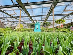 -南宫五洲植物乐园