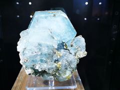 -中国地质大学逸夫博物馆