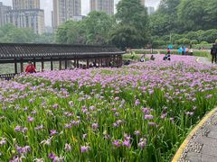 -龙头寺公园