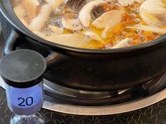 -蘑统田下·野生菌火锅