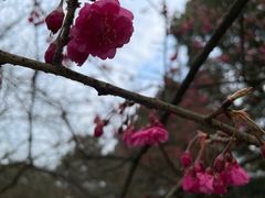 -南山植物园