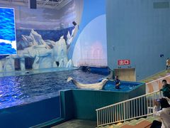 -福州罗源湾海洋世界旅游区