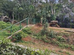 -海南热带野生动植物园