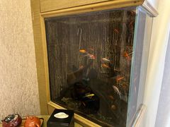 -圣爵菲斯大酒店(长沙世界之窗店)