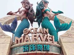 -哈尔滨波塞冬海底世界