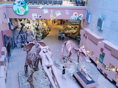 -陕西自然博物馆