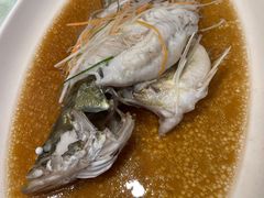 -蔡阿水羊肉店