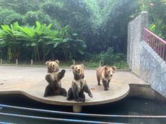 -贵州森林野生动物园