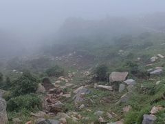 -灵山