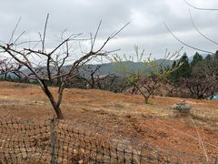 -南武当山景区