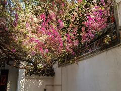 -深圳国际园林花卉博览园