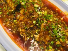 -圣厨牛腩(青春岛社区玉寿苑店)