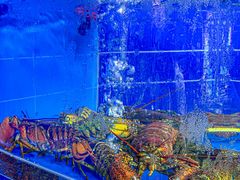 -明本湛江鸡•海鲜小厨(陈家祠店)