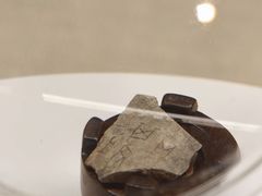 -广东中医药博物馆