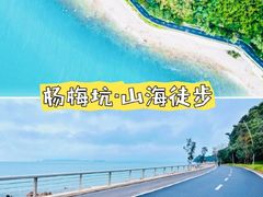 -杨梅坑