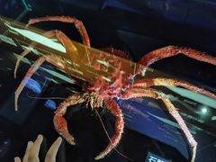 -同济大学四平路校区深海探索馆