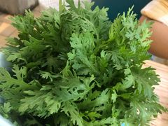 蒿子杆-青瓷火锅料理(西单大悦城店)