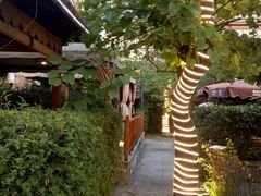 -二荆条·蜀鲜汇城市森林火锅