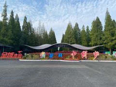 -东平国家森林公园