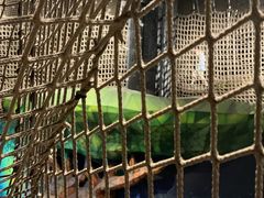 -珠海横琴国家地理探险家中心(创新方)