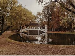 -上海共青森林公园