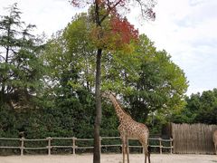 -上海野生动物园