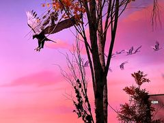 -中国湿地博物馆