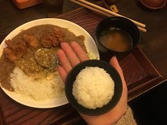 -金龙咖喱