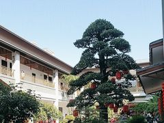 -聚福宝合苑食府(南头镇店)