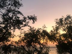 -宝安西湾红树林湿地公园