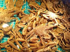 -驻海渔市(置信店)