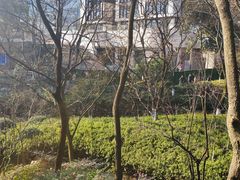 -杭州半山国家森林公园